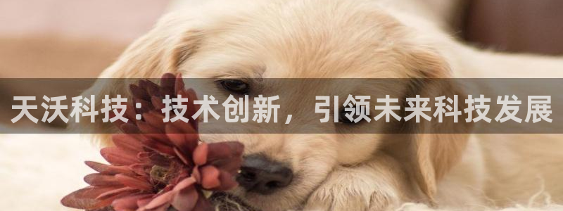 天沃科技：技术创新，引领未来科技发展