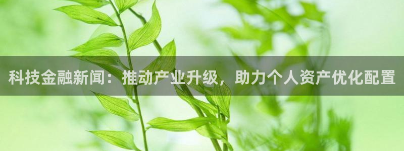 科技金融新闻：推动产业升级，助力个人资产优化配置