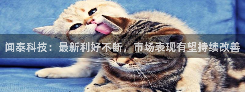 闻泰科技：最新利好不断，市场表现有望持续改善