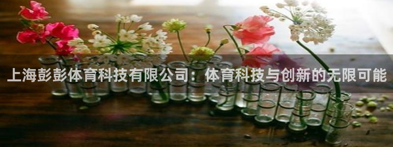 上海彭彭体育科技有限公司：体育科技与创新的无限可能