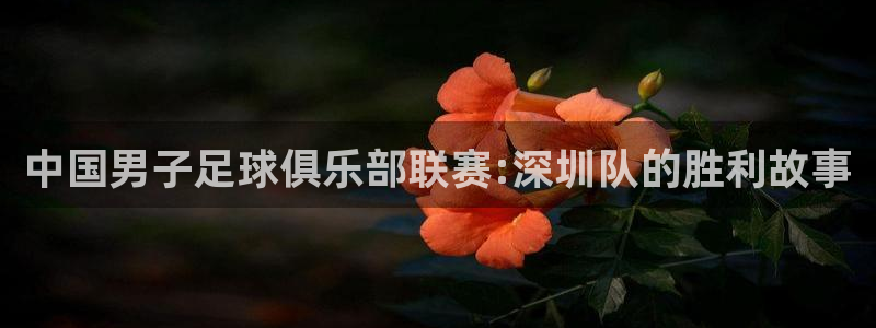中国男子足球俱乐部联赛:深圳队的胜利故事