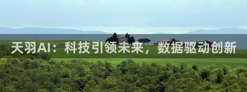 天羽AI：科技引领未来，数据驱动创新
