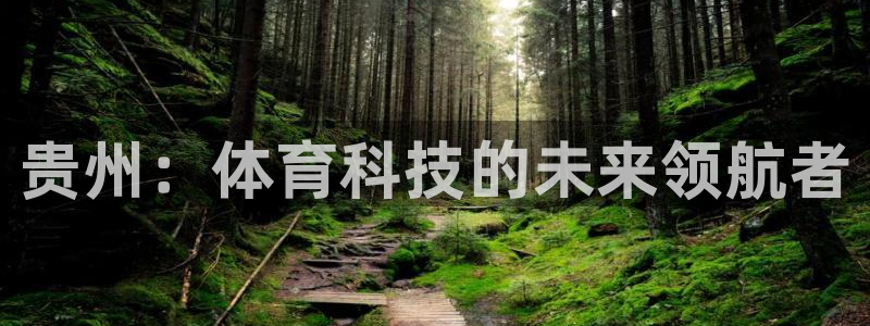 贵州：体育科技的未来领航者