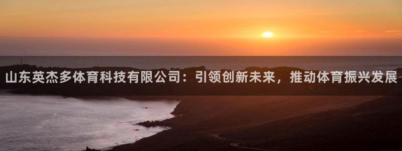 山东英杰多体育科技有限公司：引领创新未来，推动体育振兴发展
